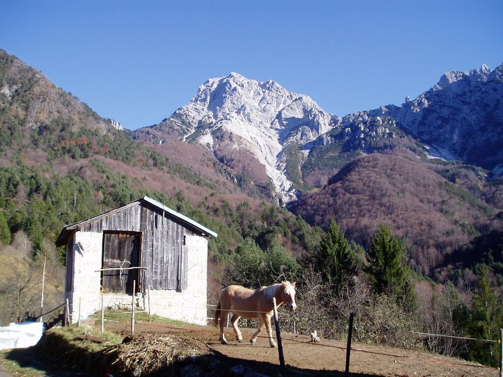 B&B L'Asinello Rampante Arta Terme Exterior foto